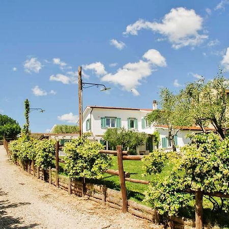 Gli Olivi Bed & Breakfast Formello Exterior photo
