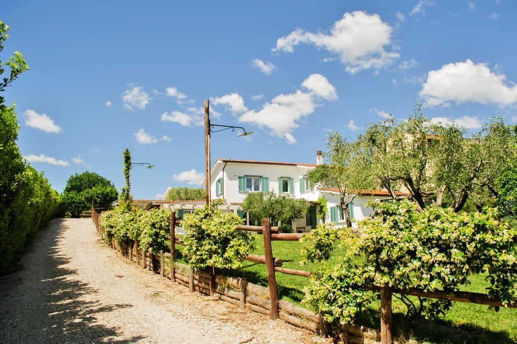 Gli Olivi Bed & Breakfast Formello Exterior photo